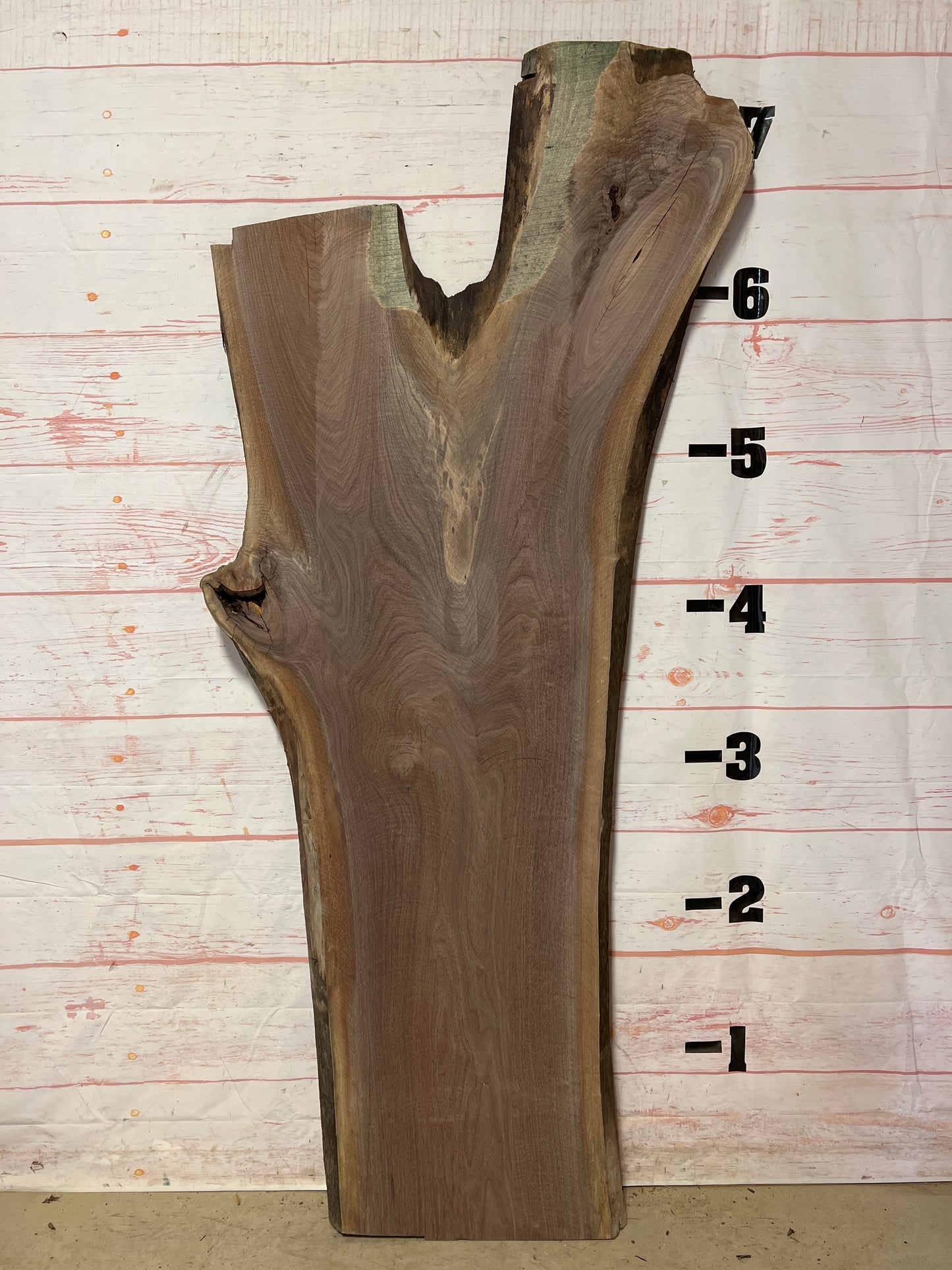 Live Edge Walnut Sku# 21143-32