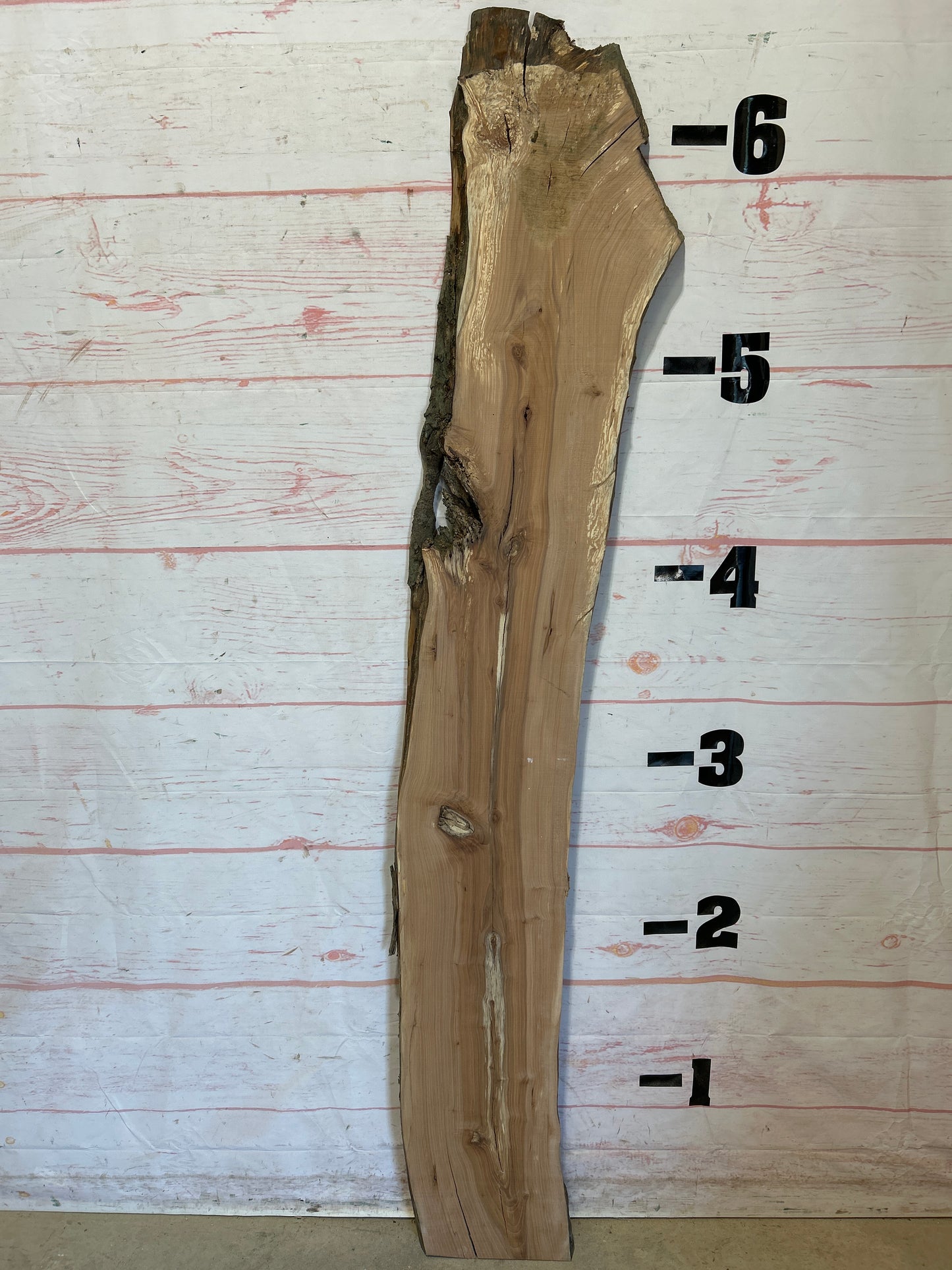 Live Edge Applewood Sku#25343M-10