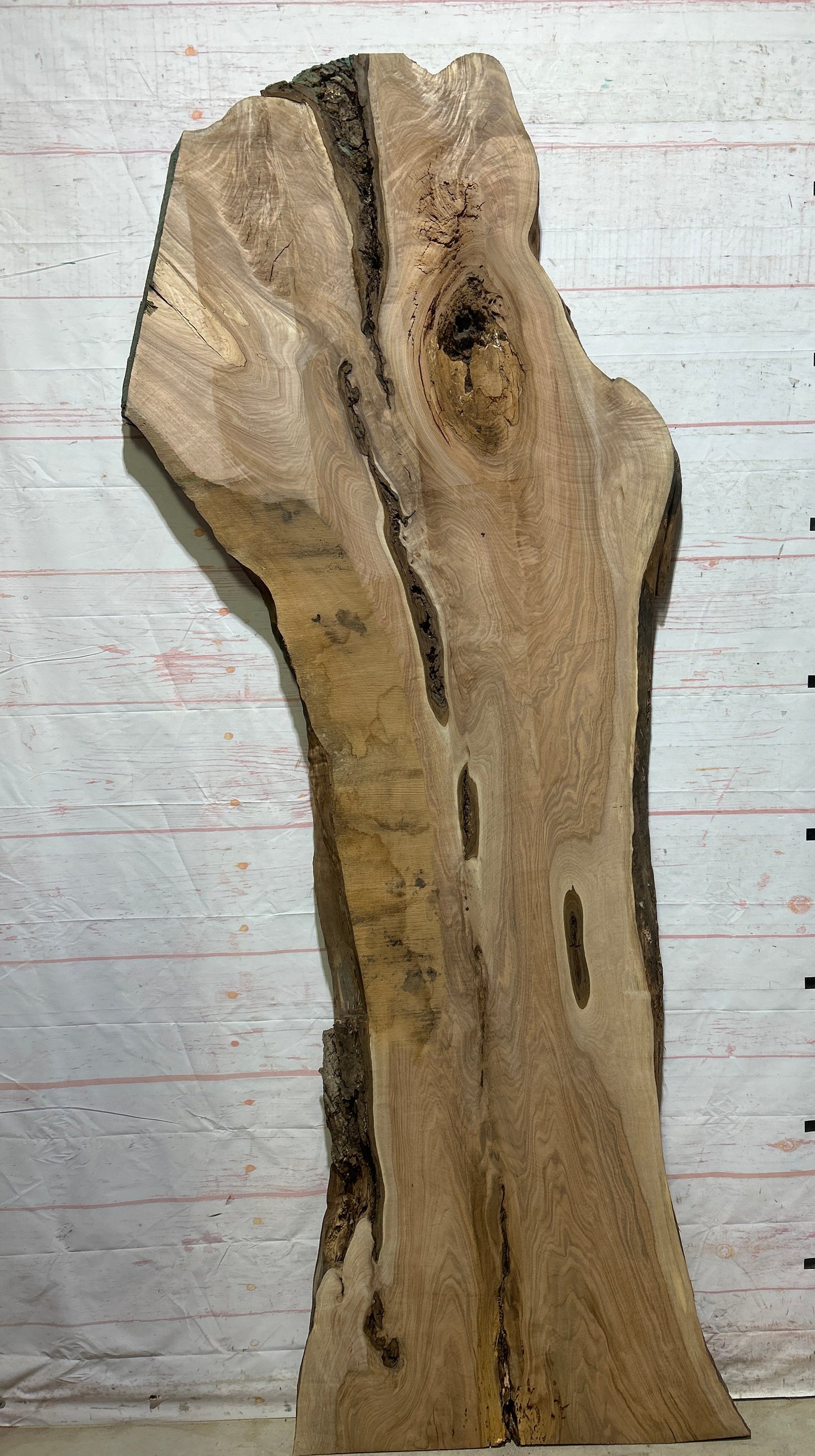 Live Edge Butternut Sku#26747-49