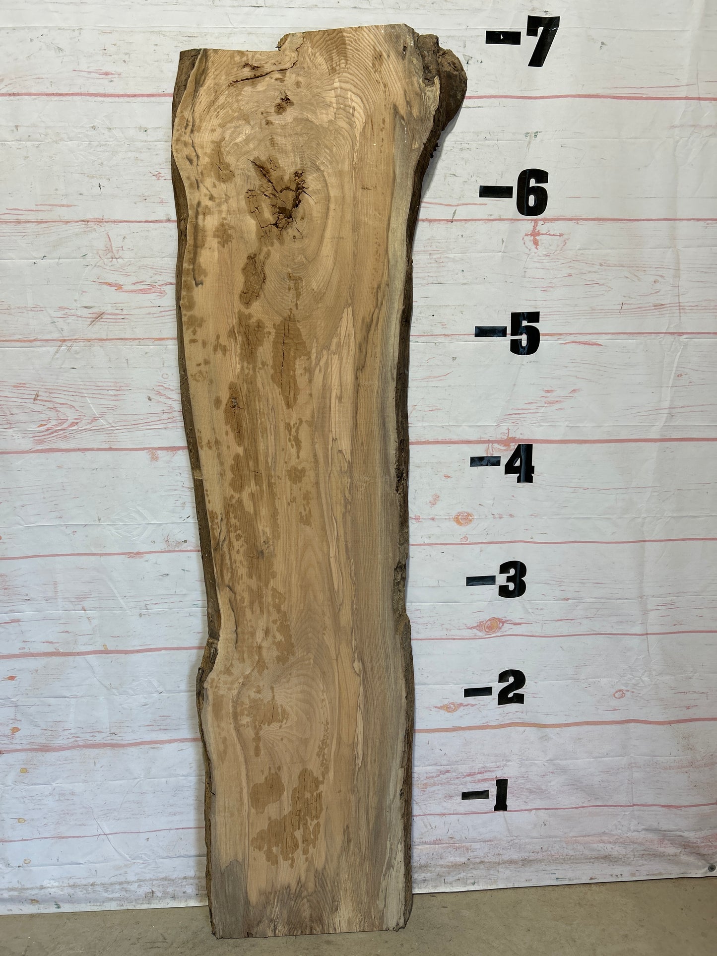 Live Edge Ash Sku# 26483H-25