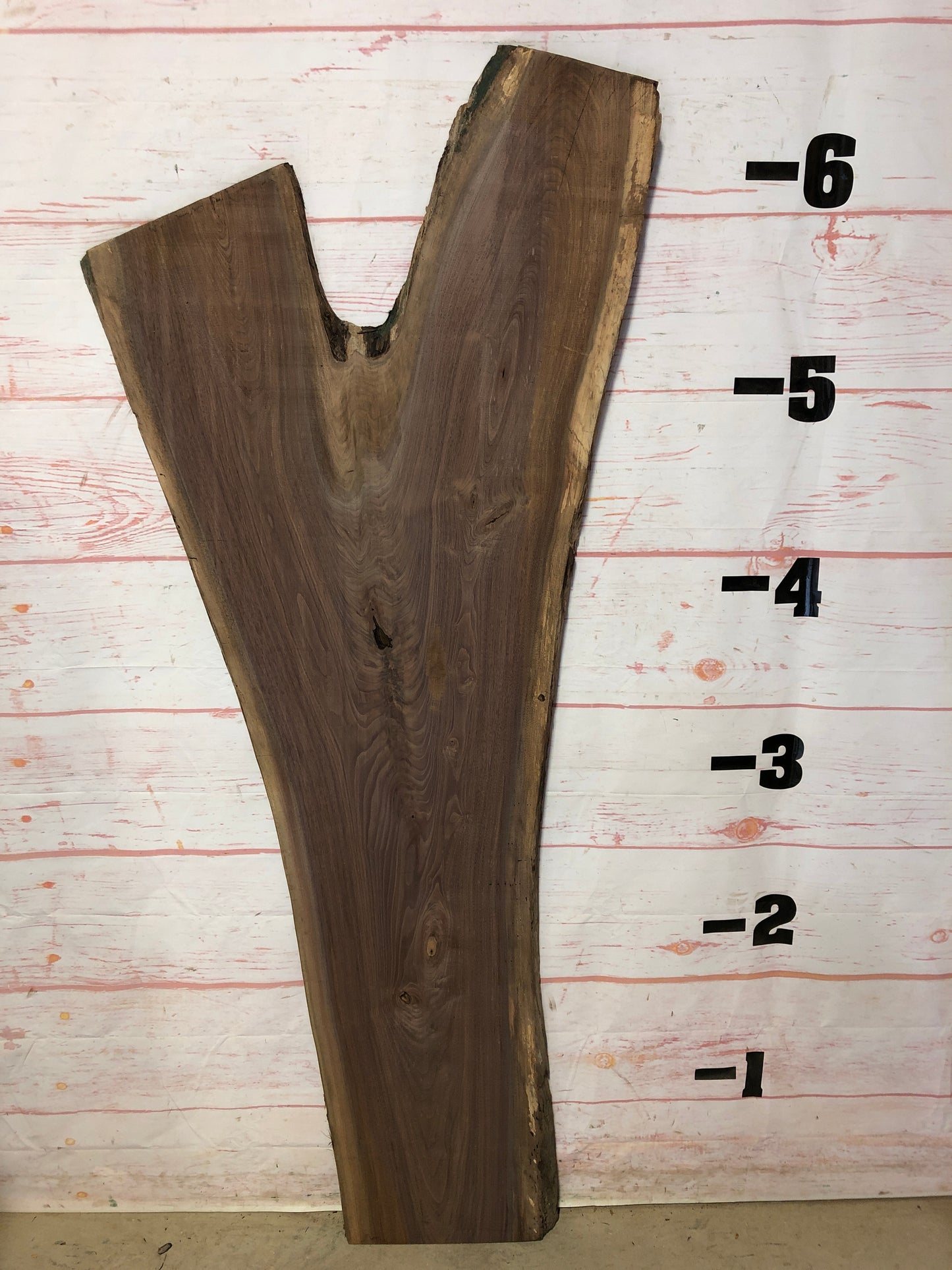 Live Edge Walnut Sku#20881SP1-23