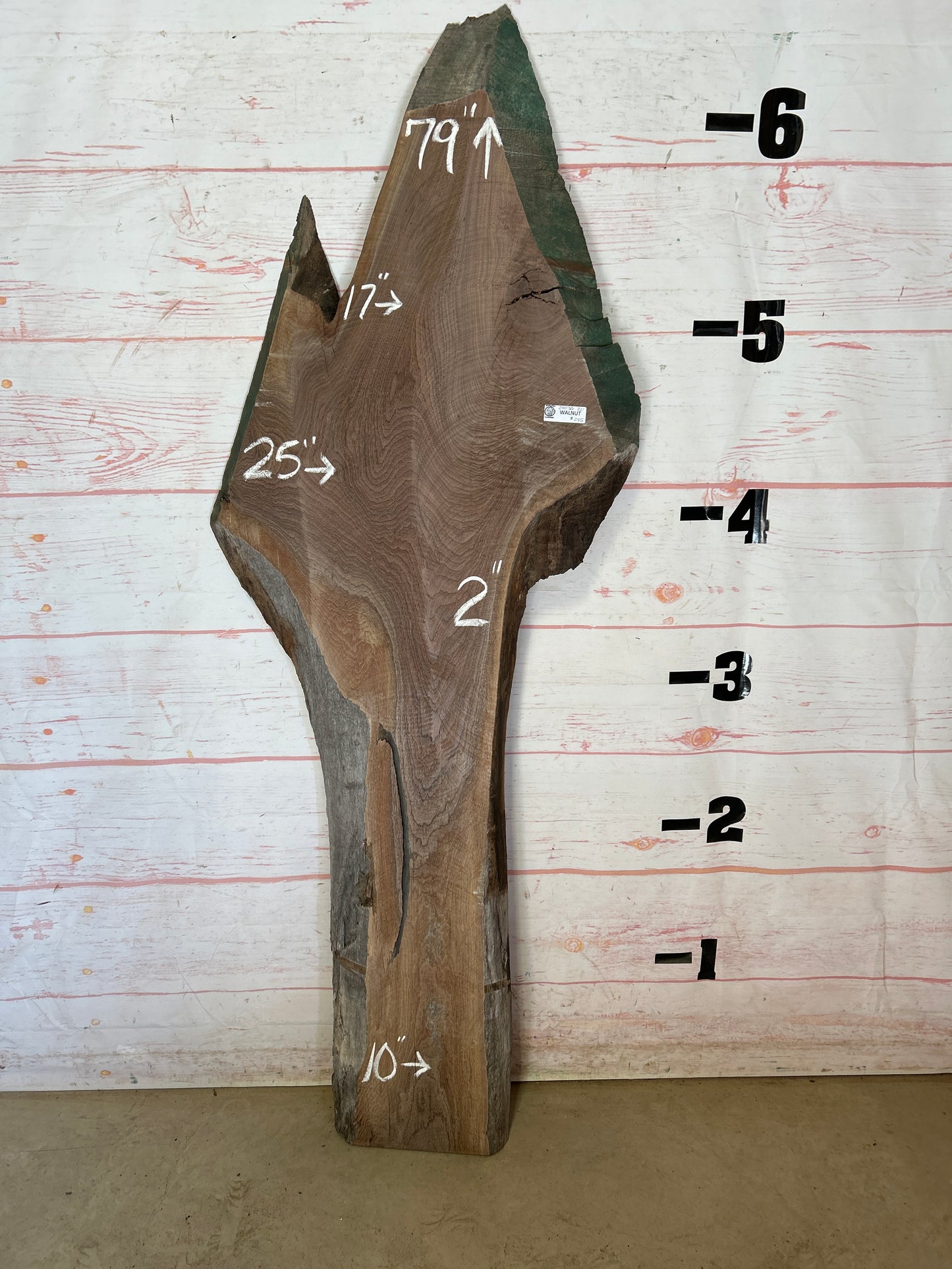 Live Edge Walnut Sku#24030SP1-22