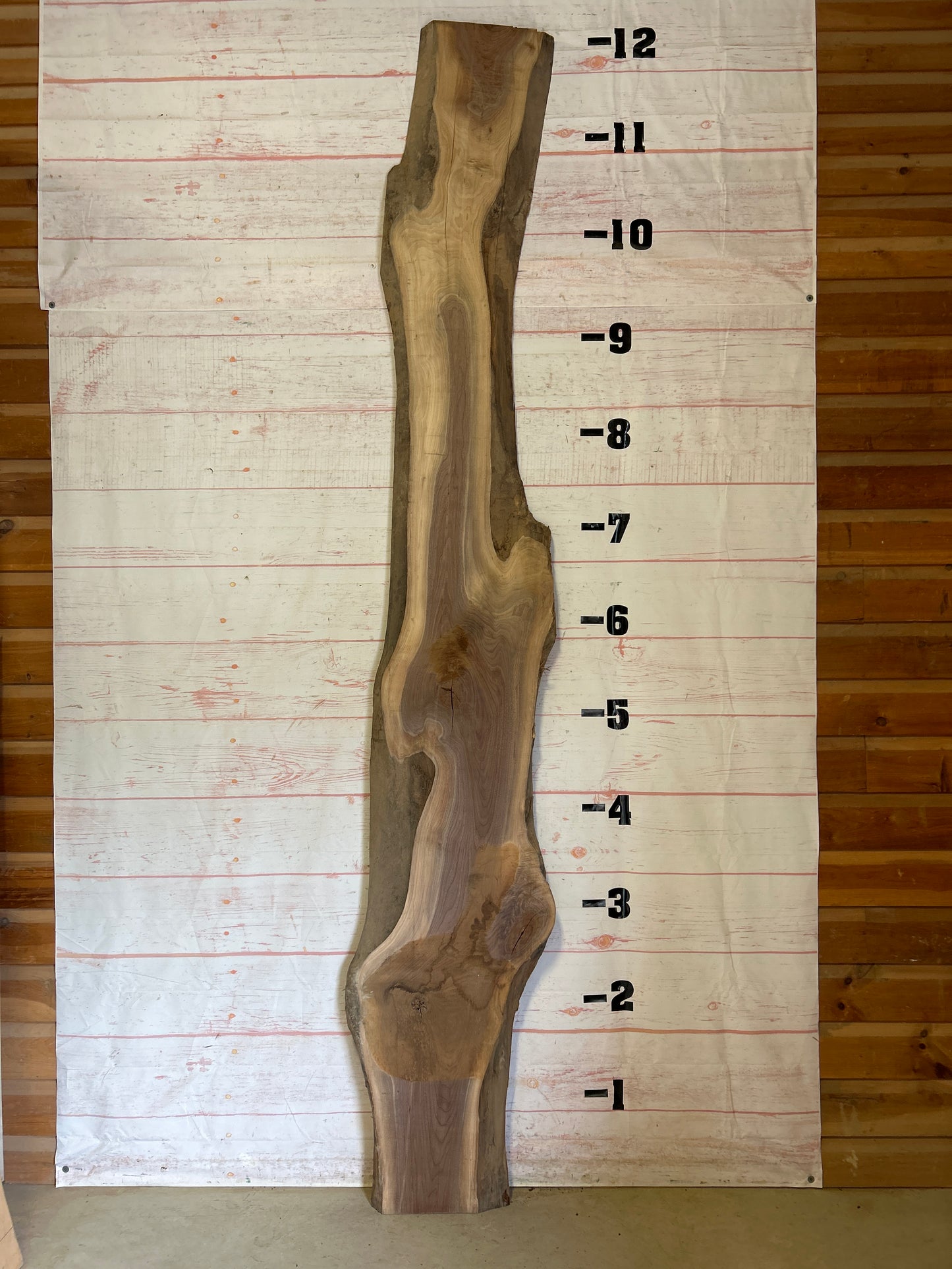 Live Edge Walnut Sku#23733-41