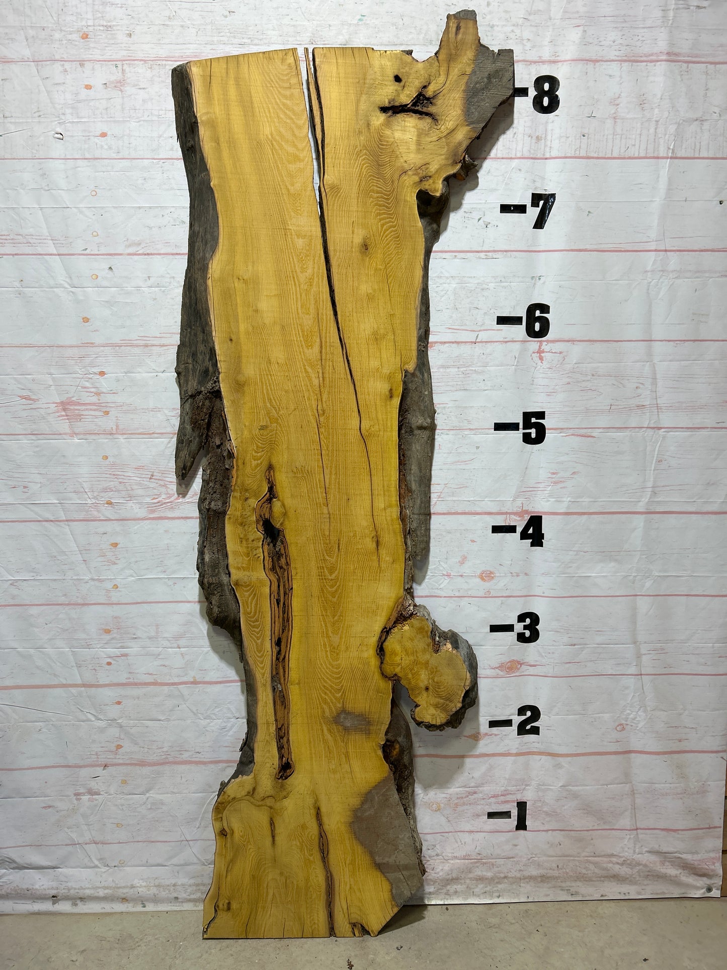 Live Edge Osage Orange Sku#27037B-42