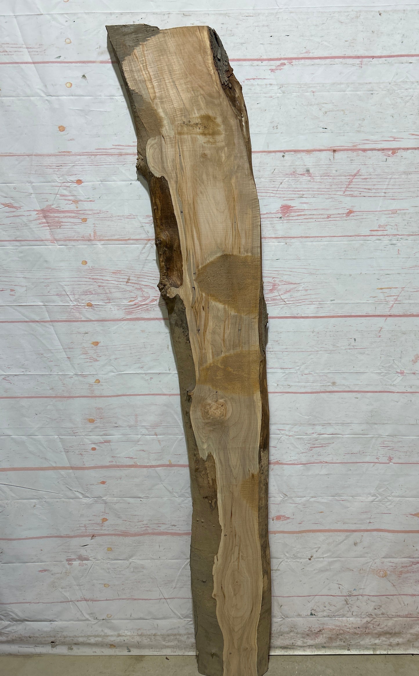 Live Edge Maple Sku#26709E-10