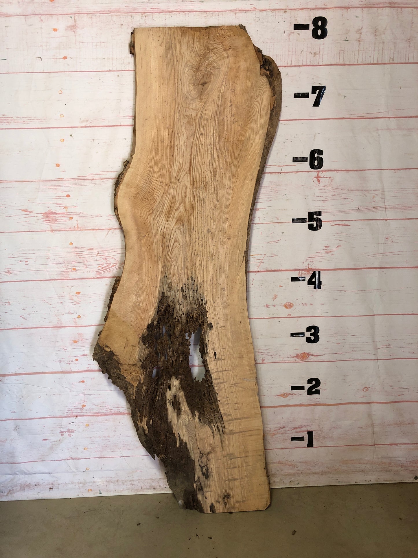 Live Edge Ash Sku#23540S-35