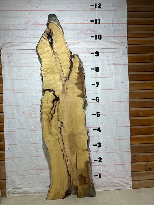 Live Edge Mulberry Sku#26933-48