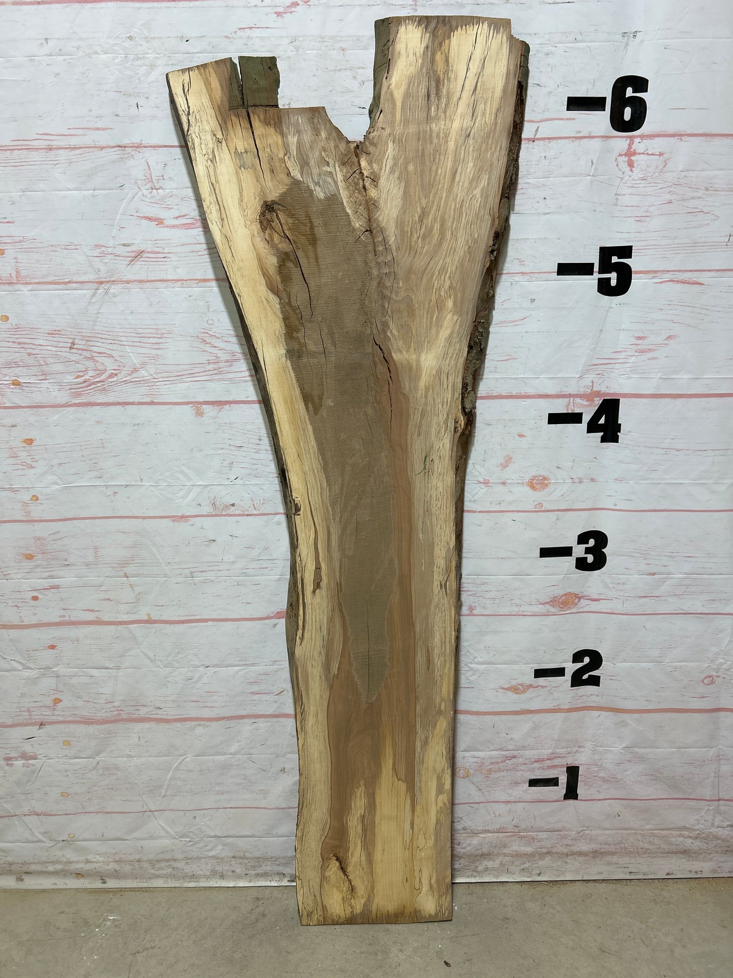 Live Edge Beech Sku#25252H-23