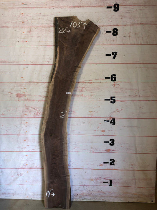 Live Edge Walnut Sku# 23002M-26