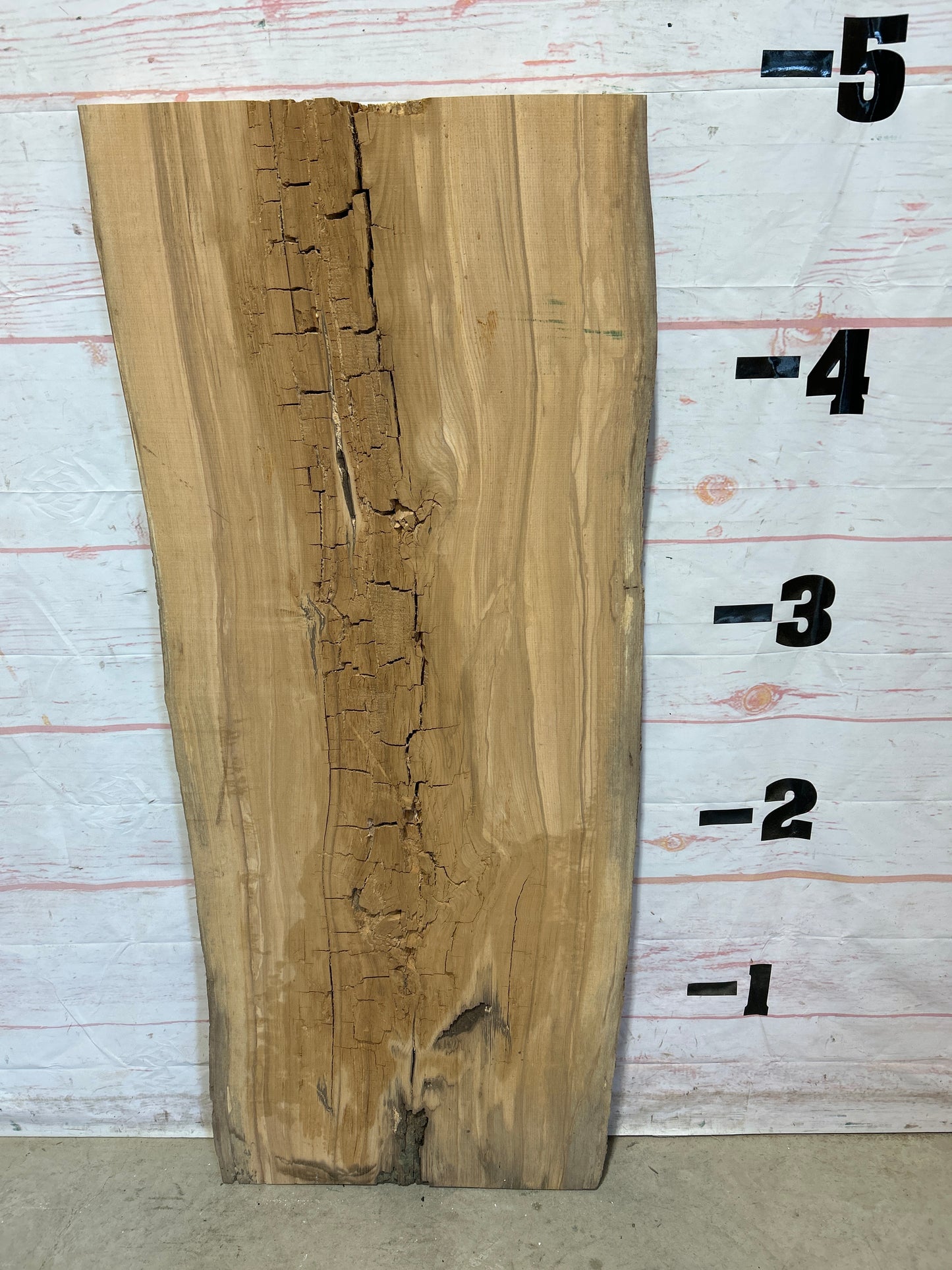 Live Edge Ash Sku# 26488H-19