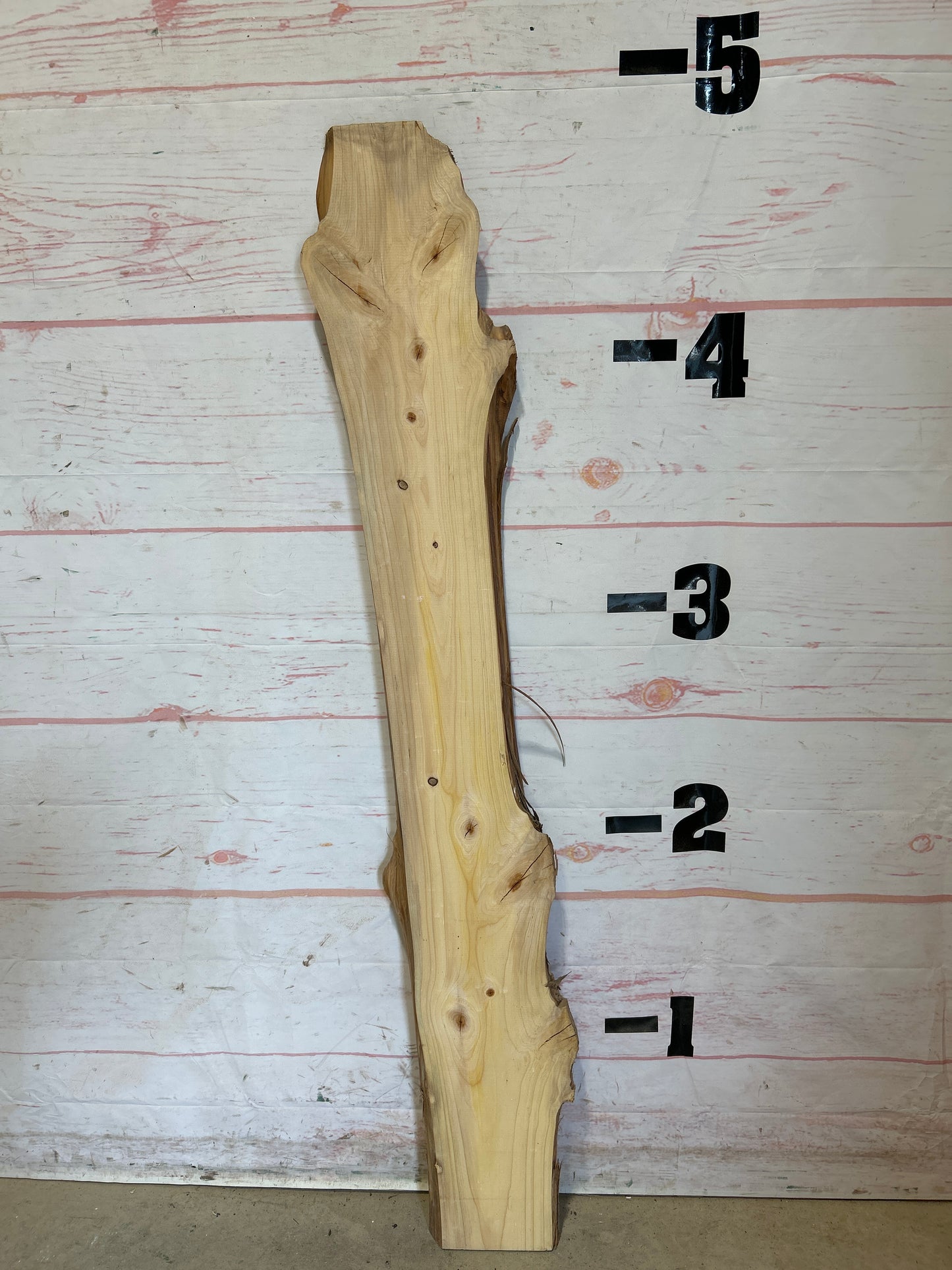 Live Edge Cedar Sku#25949M-4