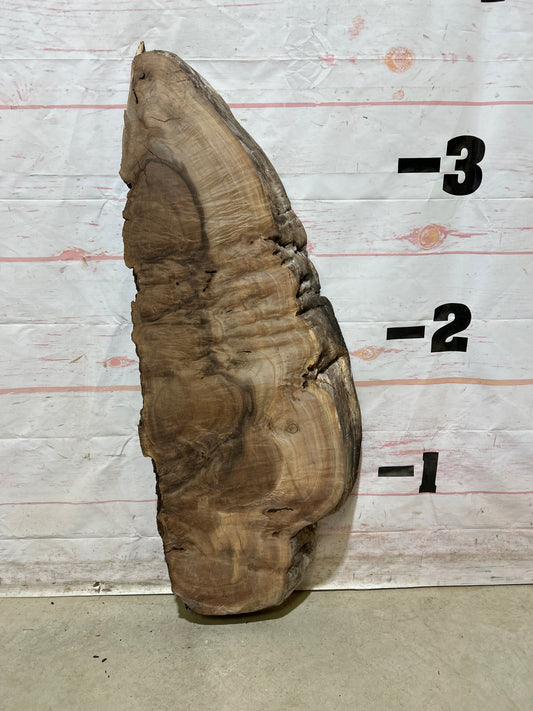 Live Edge Walnut Sku#26927M-8