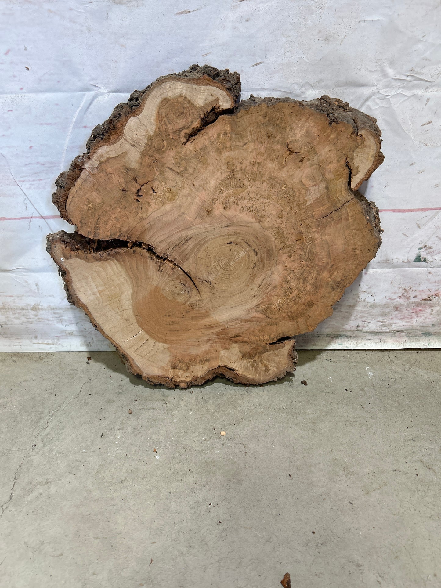 Live Edge Cherry Sku#26556M