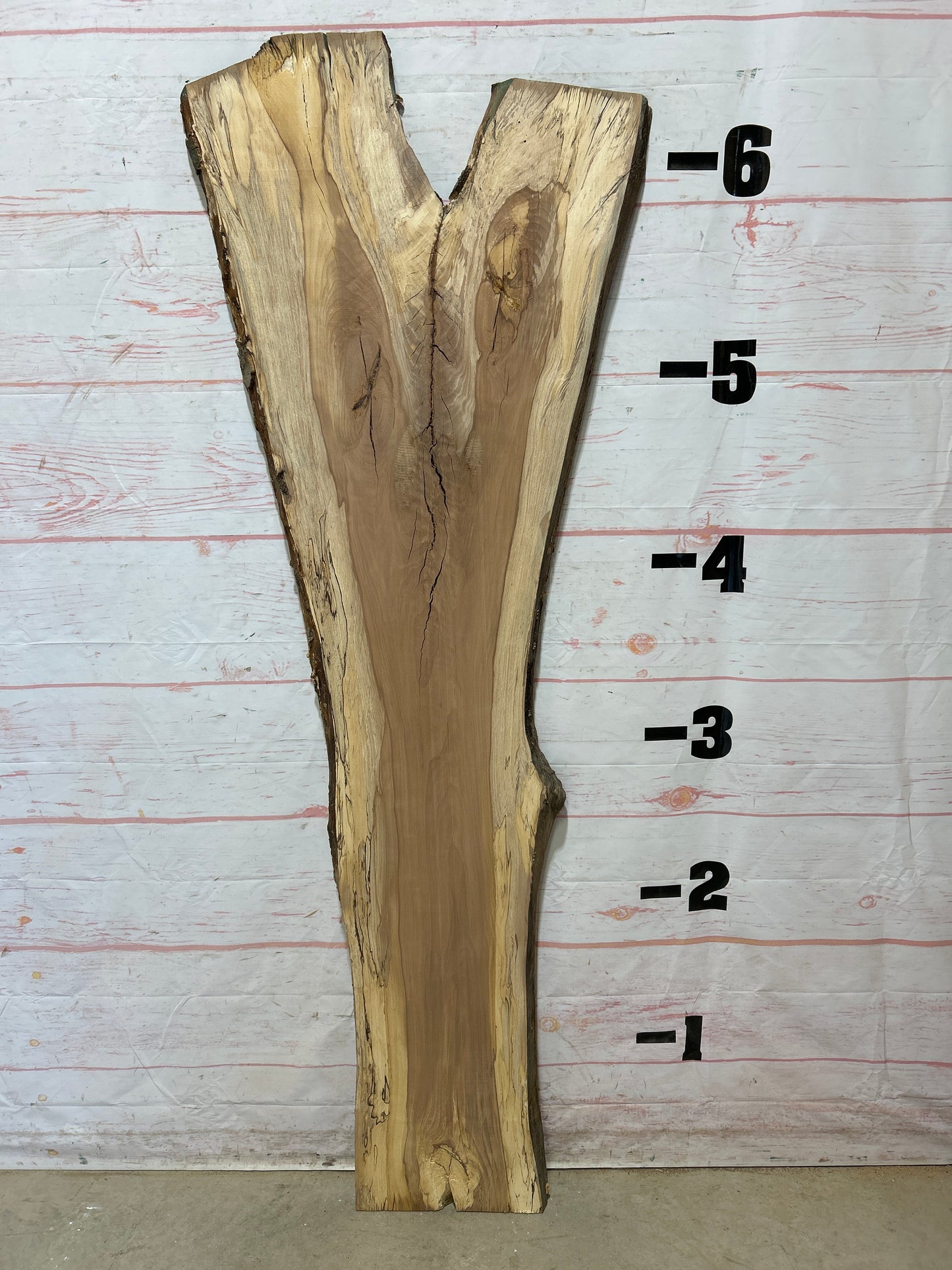 Live Edge Beech Sku#25250H-20