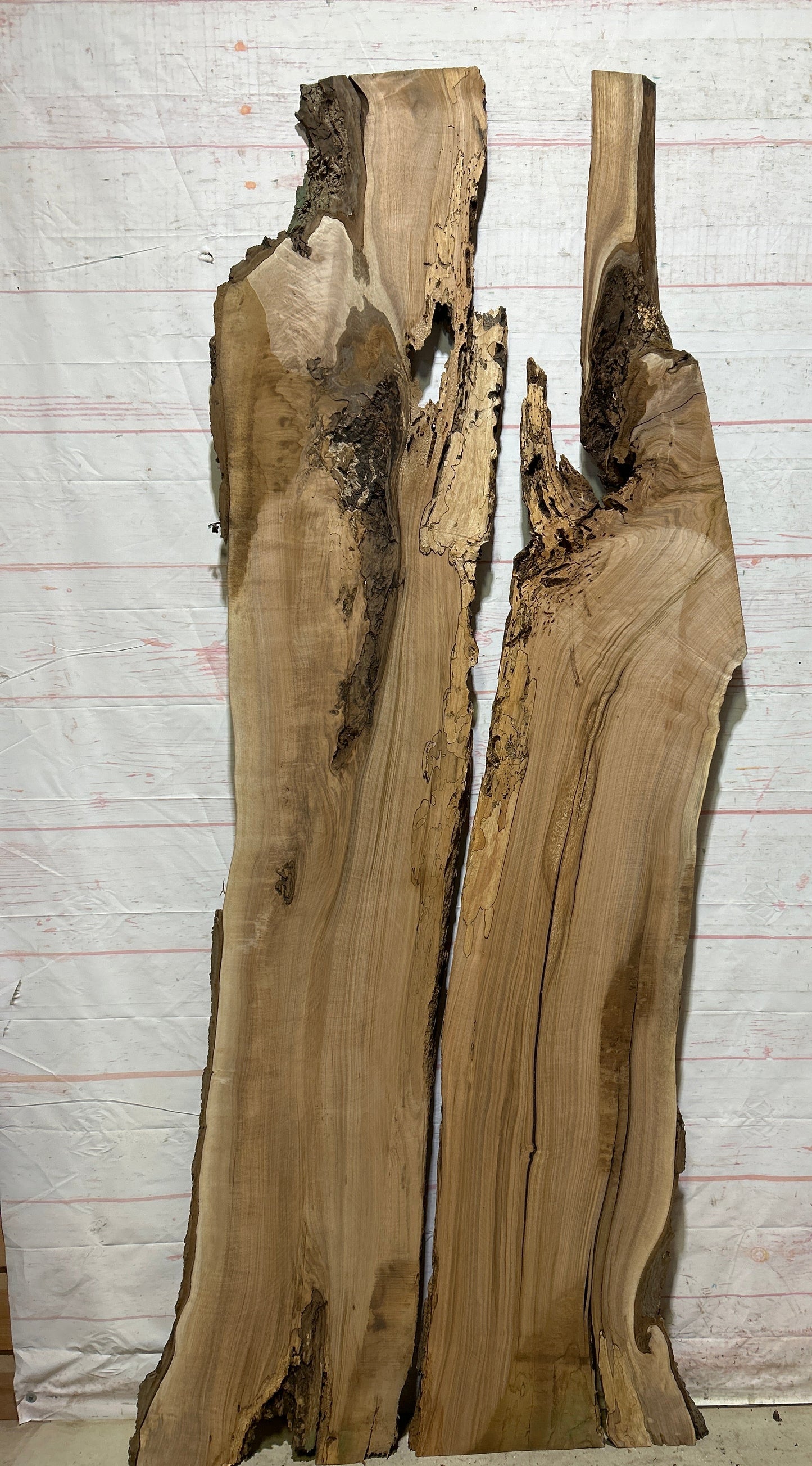 Live Edge Butternut Sku#26754S-43
