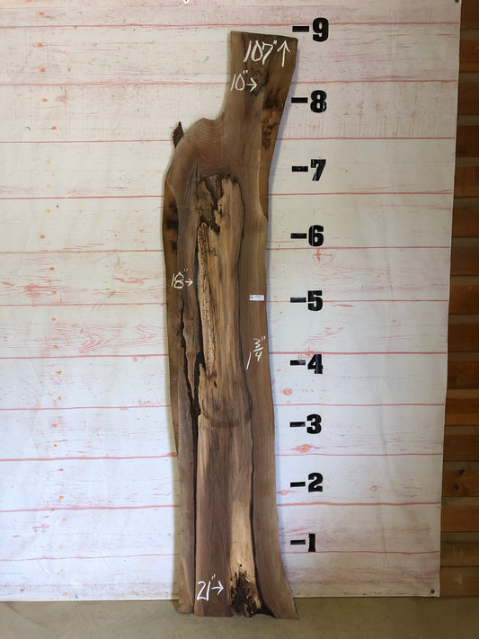 Live Edge Walnut Sku# 23480SP1-21