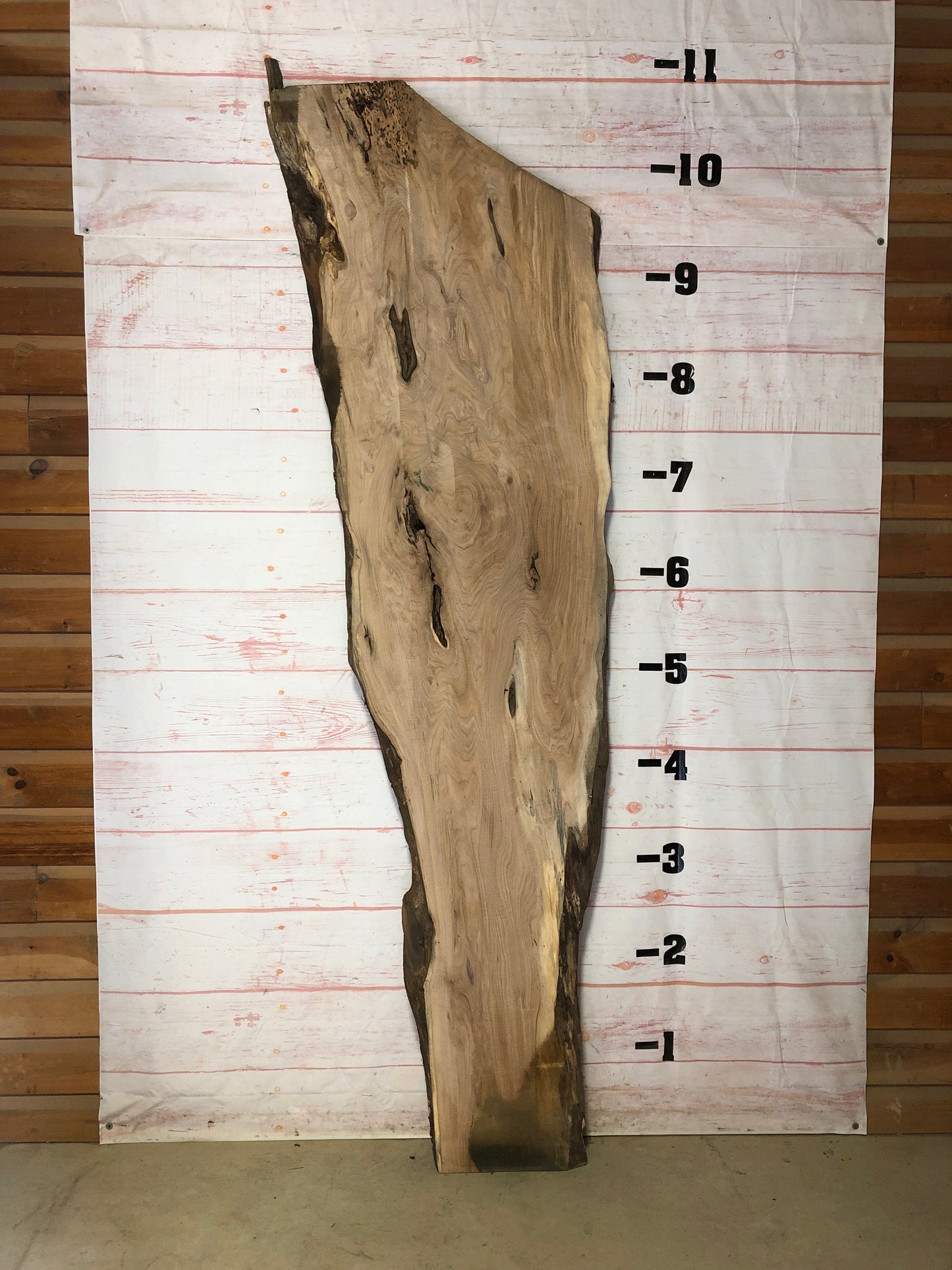 Live Edge Butternut Sku# 21442-51