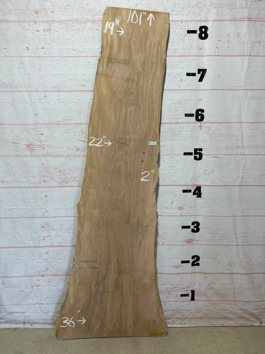 Live Edge Sycamore Sku#26279-39