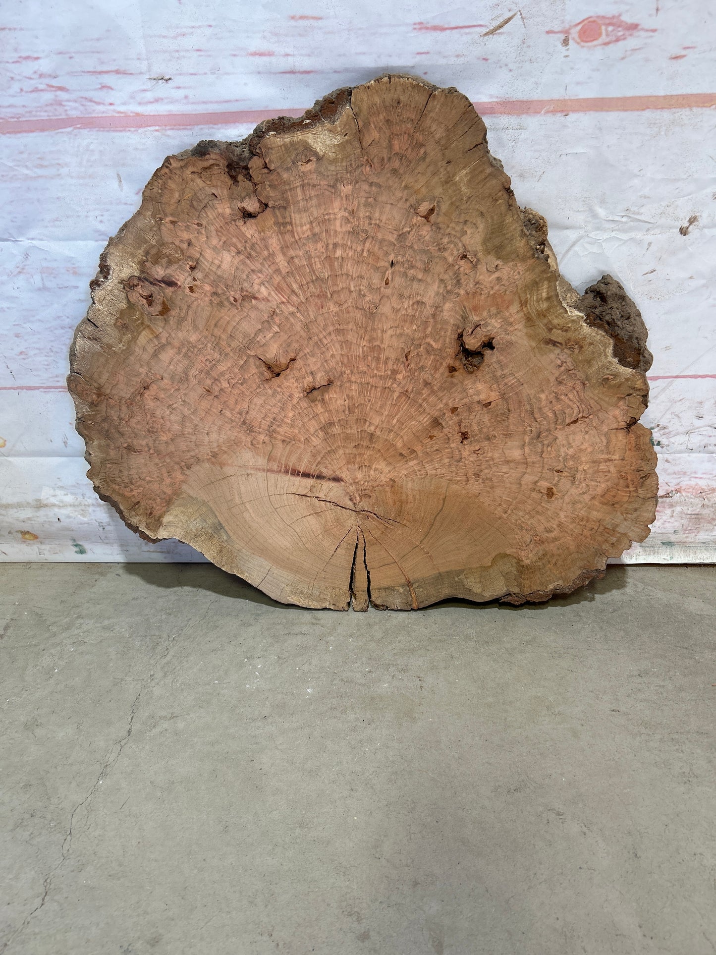 Live Edge Cherry Sku#26559M
