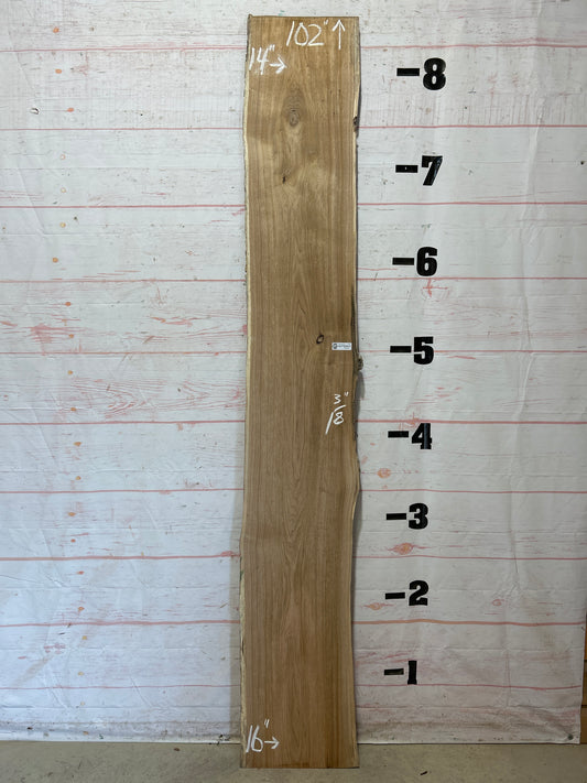 Live Edge Butternut Sku#26322C-16