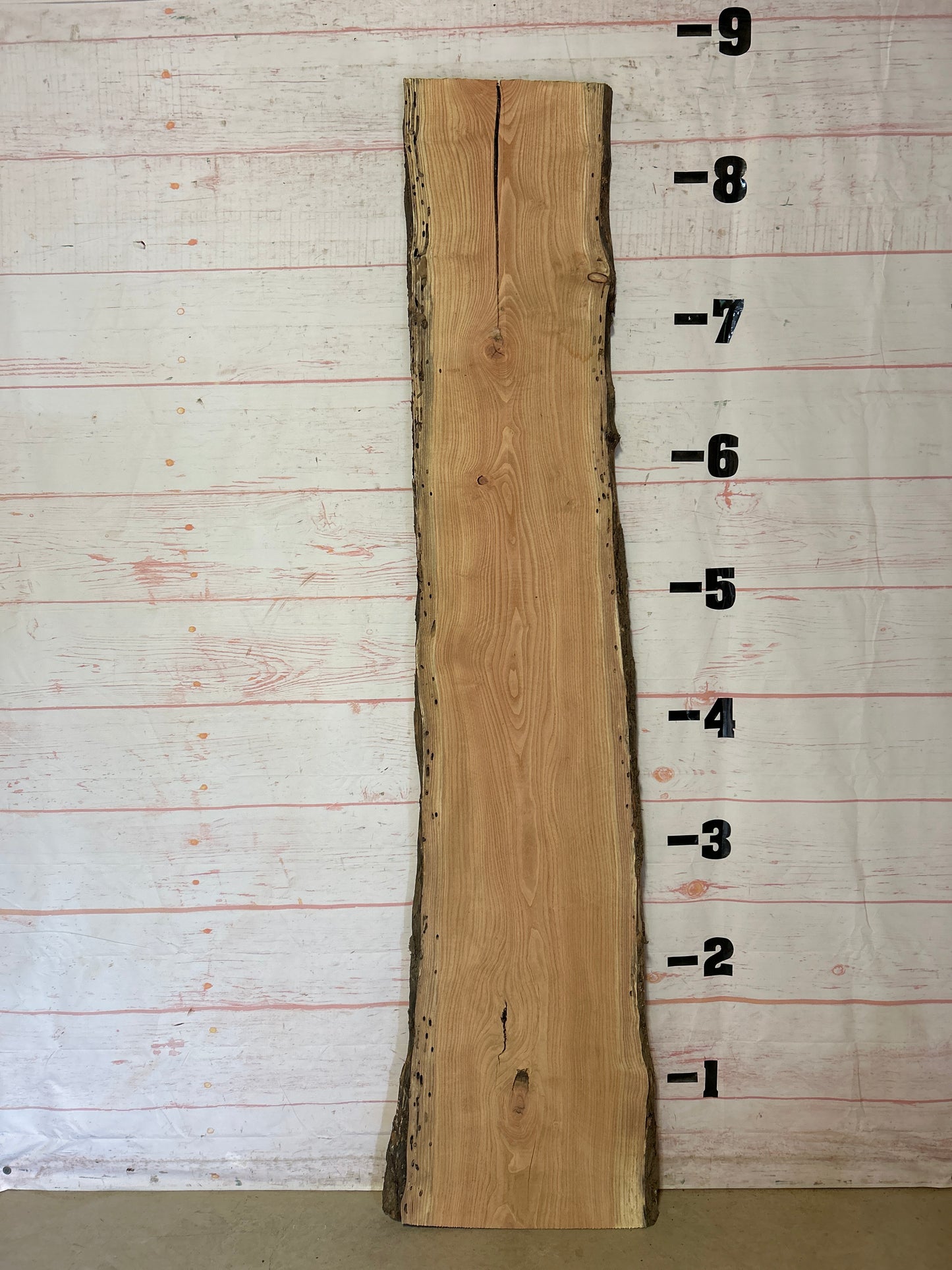 Live Edge Honey Locust Sku#25162H-32