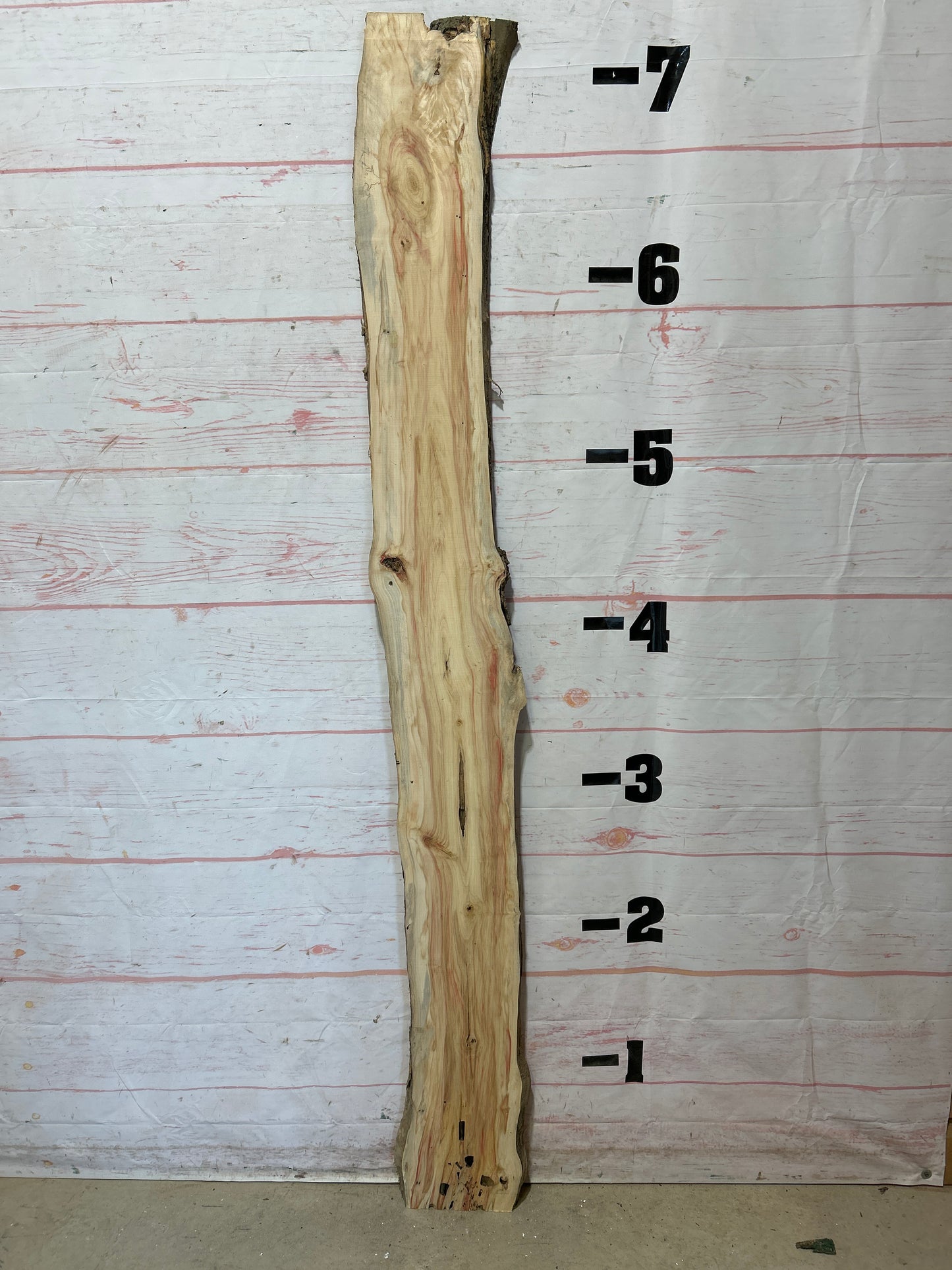 Live Edge Box Elder Sku#25706D-9
