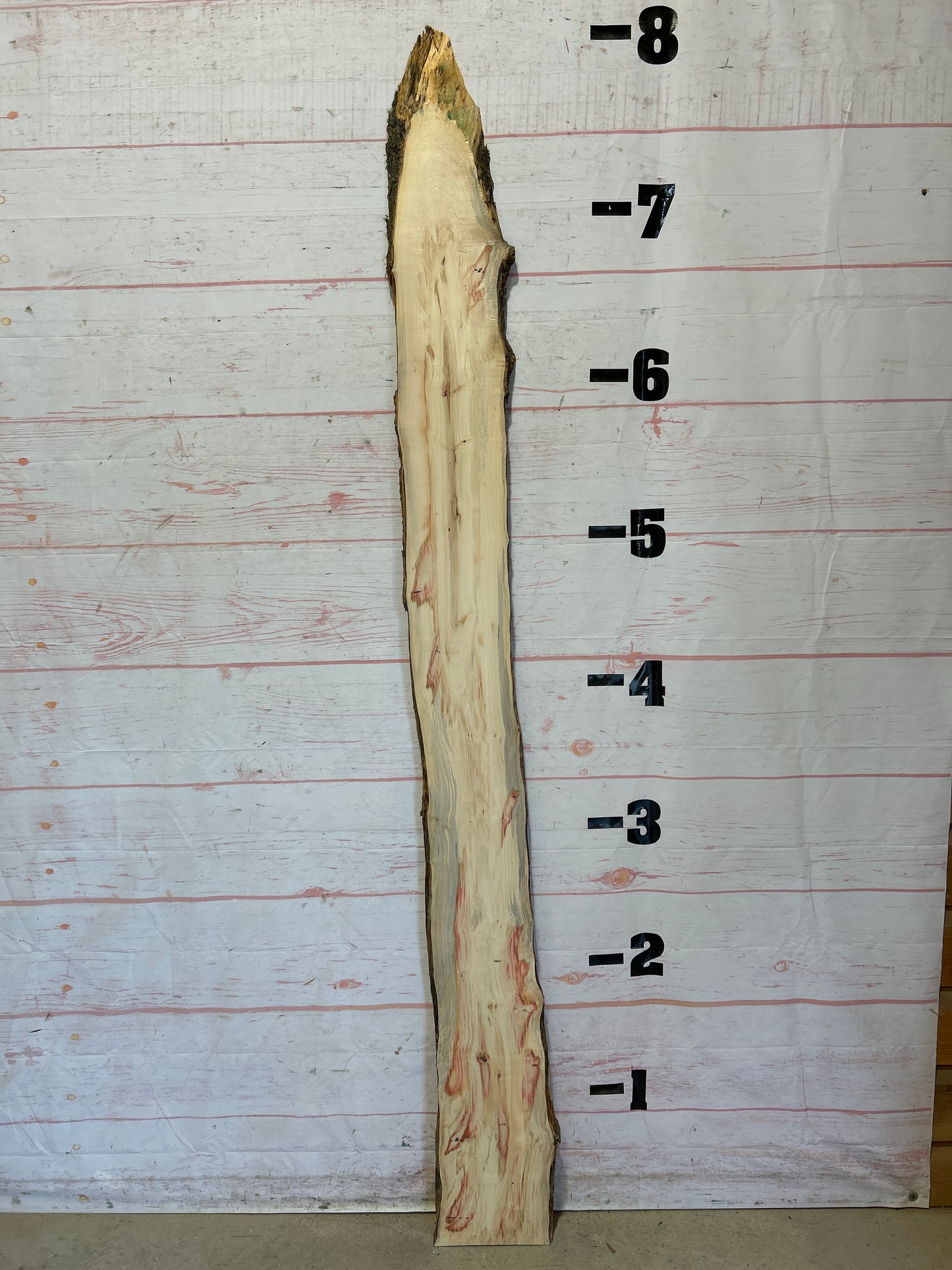 Live Edge Box Elder Sku#25722D-9