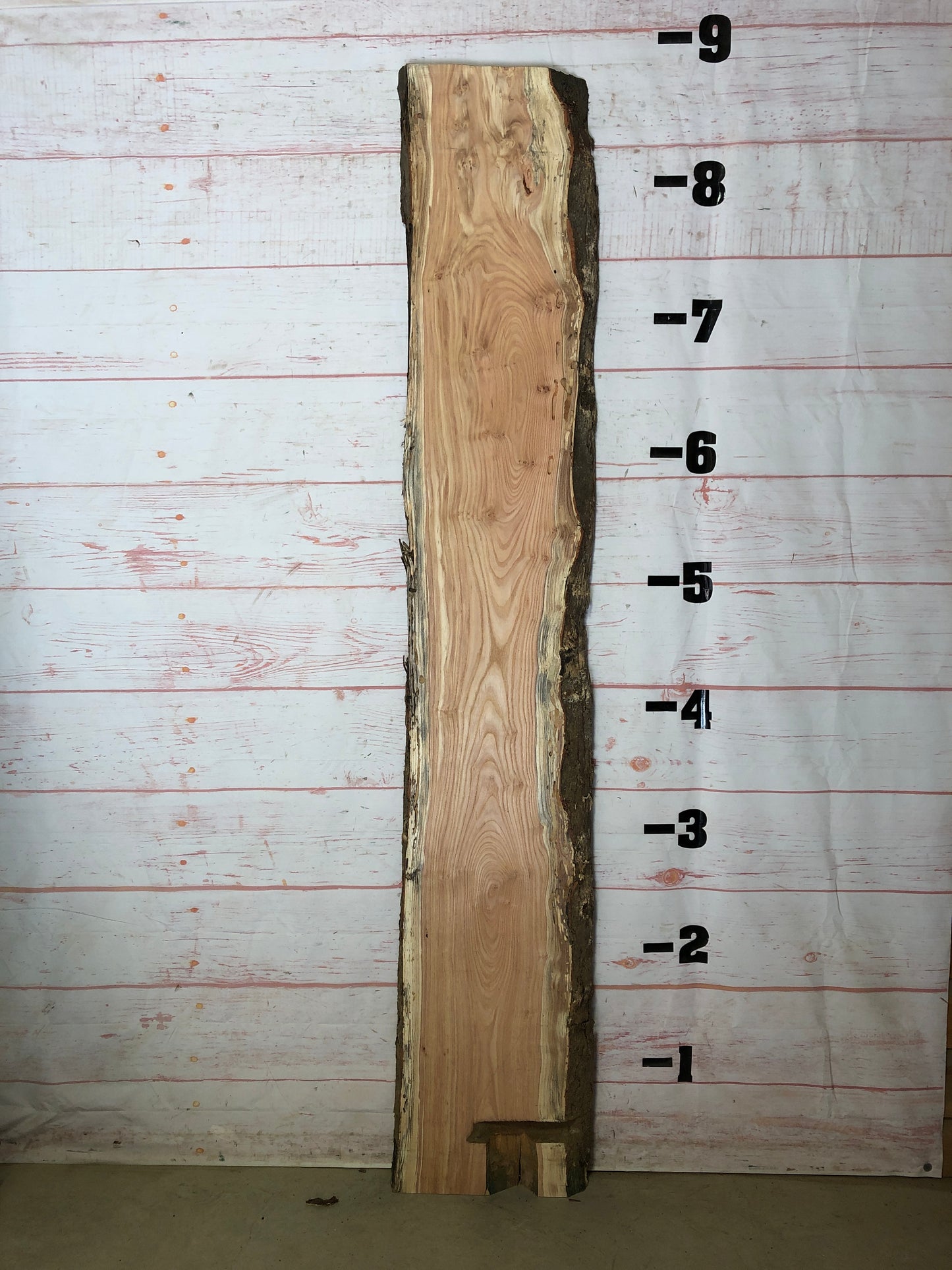 Live Edge Honey Locust Sku# 22185-26