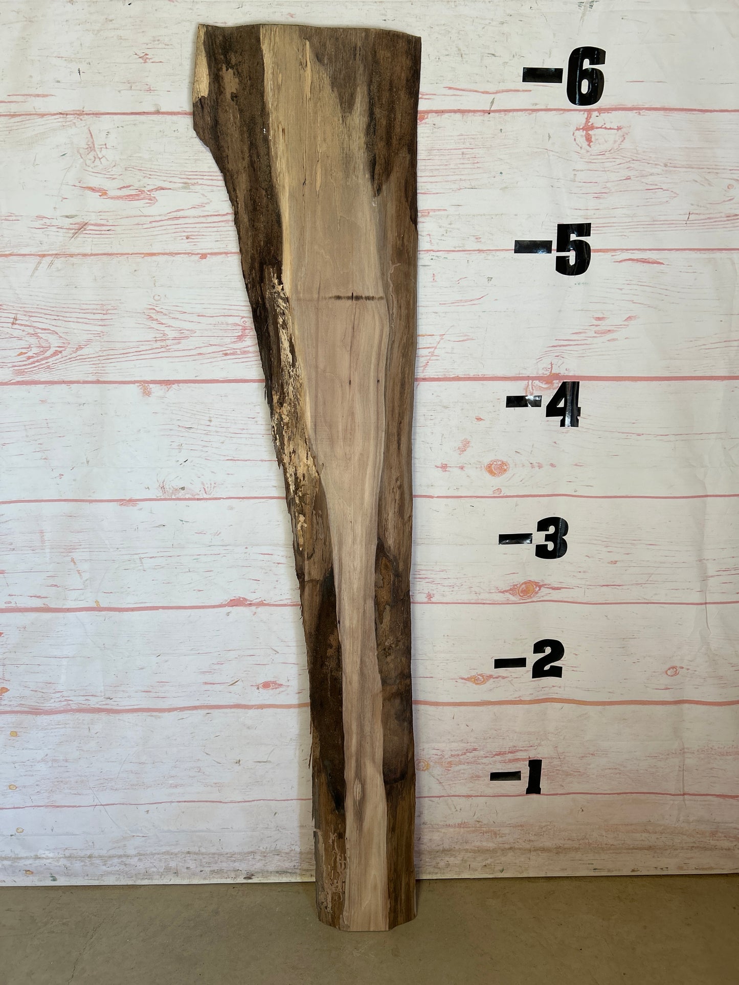 Live Edge Walnut Sku#25128M-10