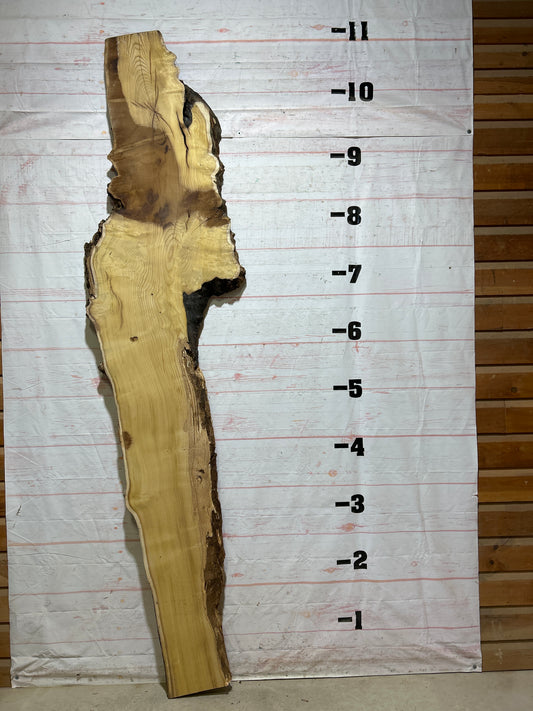 Live Edge Mulberry Sku#26932-42