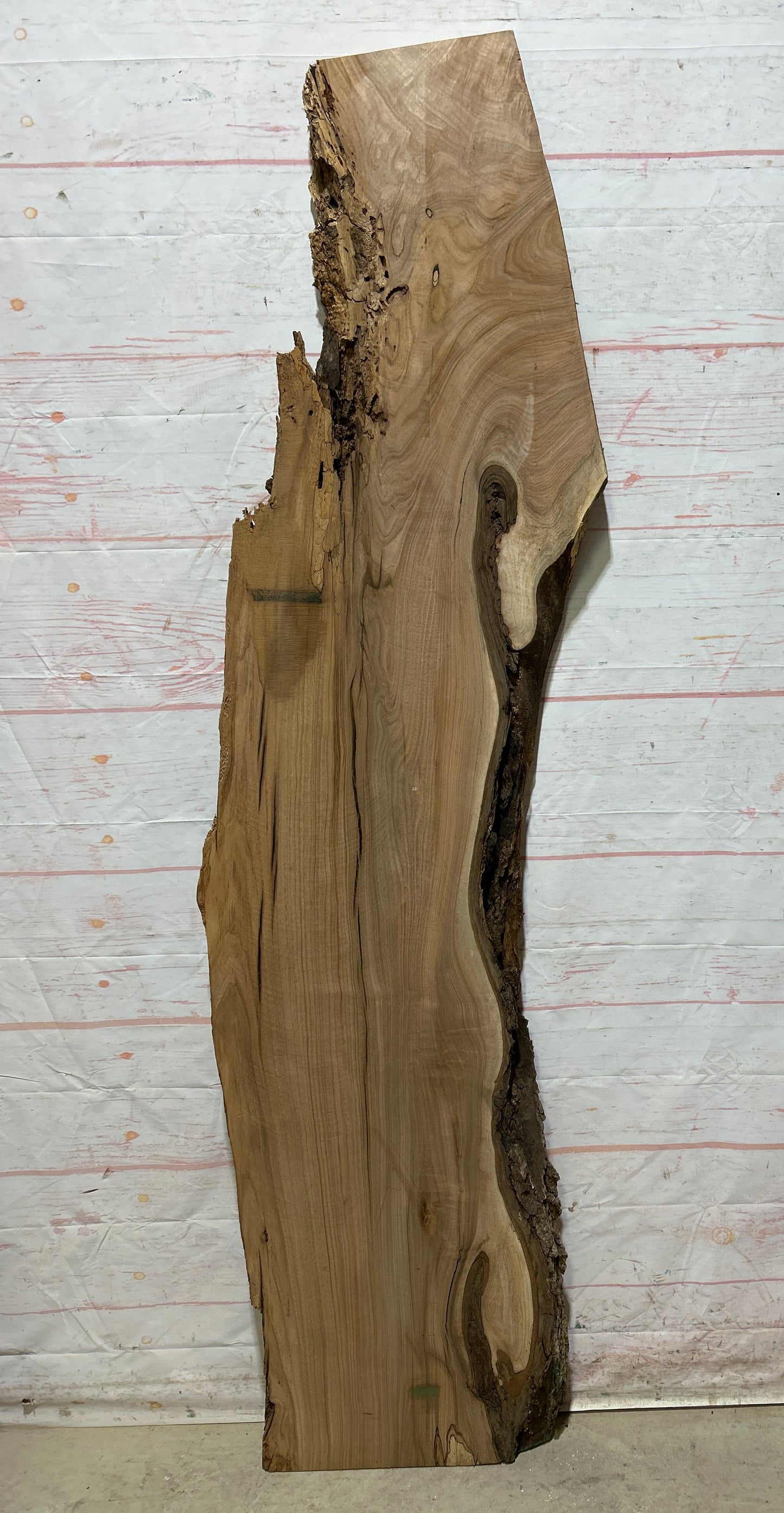 Live Edge Butternut Sku#26752-19