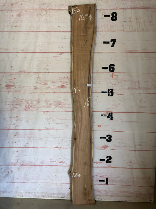 Live Edge Butternut Sku#22813-12