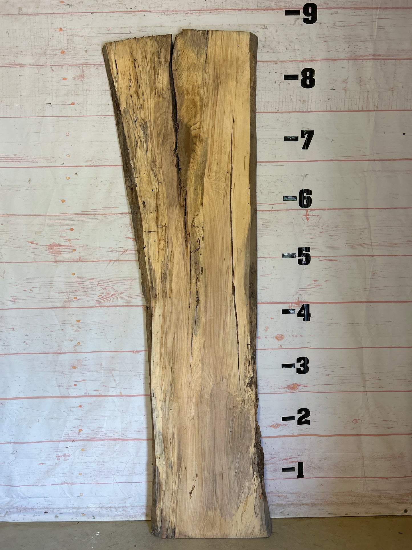 Live Edge Spalted Maple Sku#25182