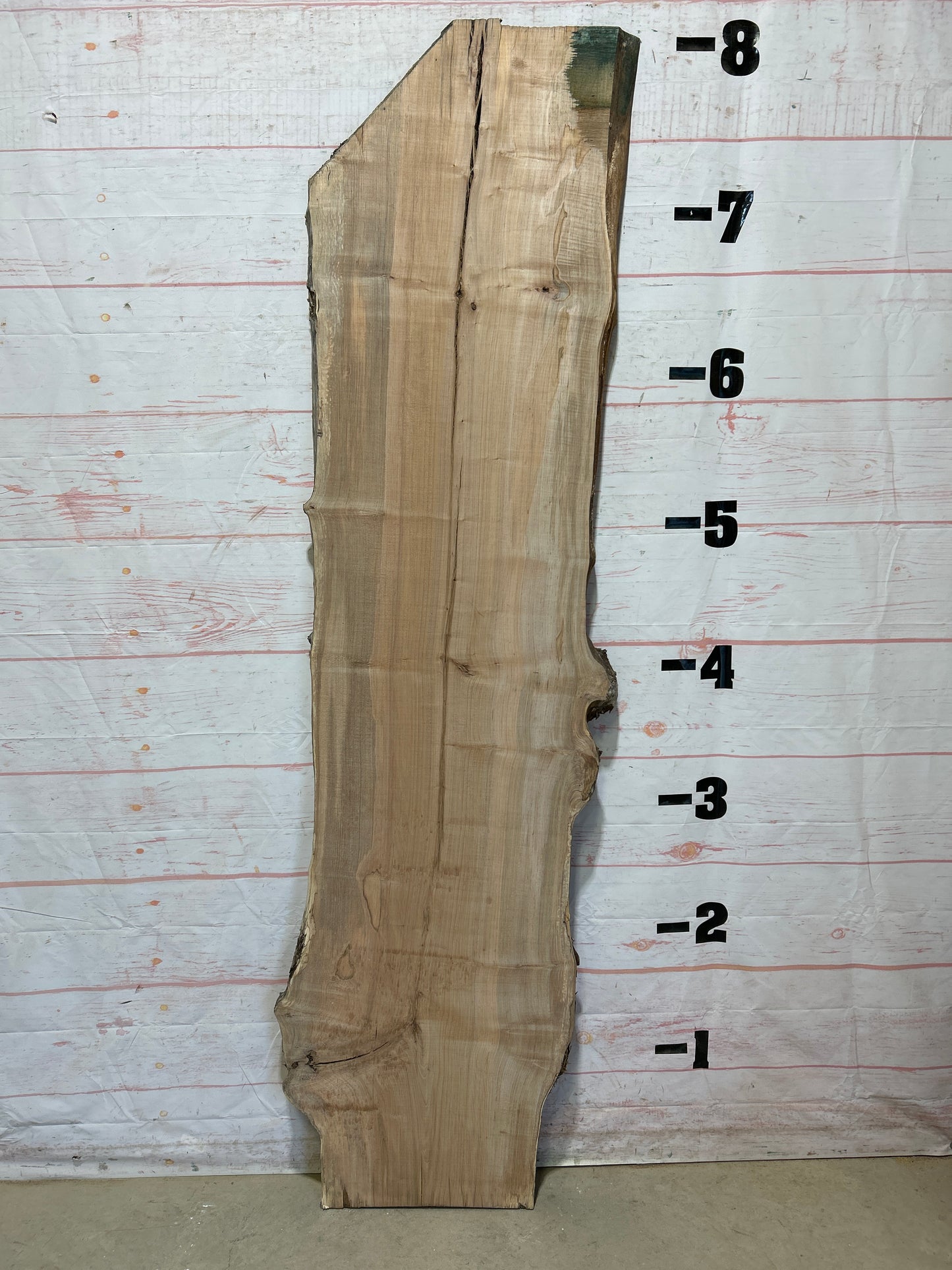 Live Edge Ambrosia Maple Sku#25256-30