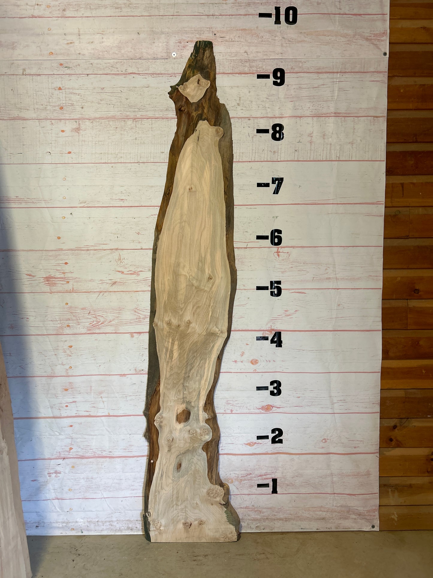 Live Edge Maple Sku#23740E-21