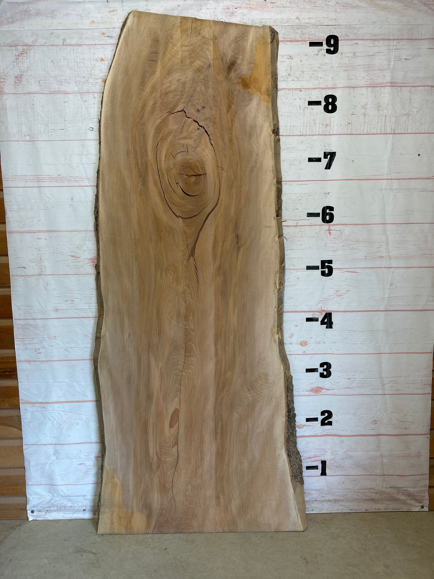 Live Edge Sycamore Sku#25527-66