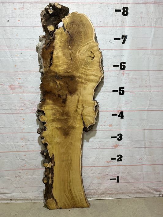 Live Edge Mulberry Sku#26930-31