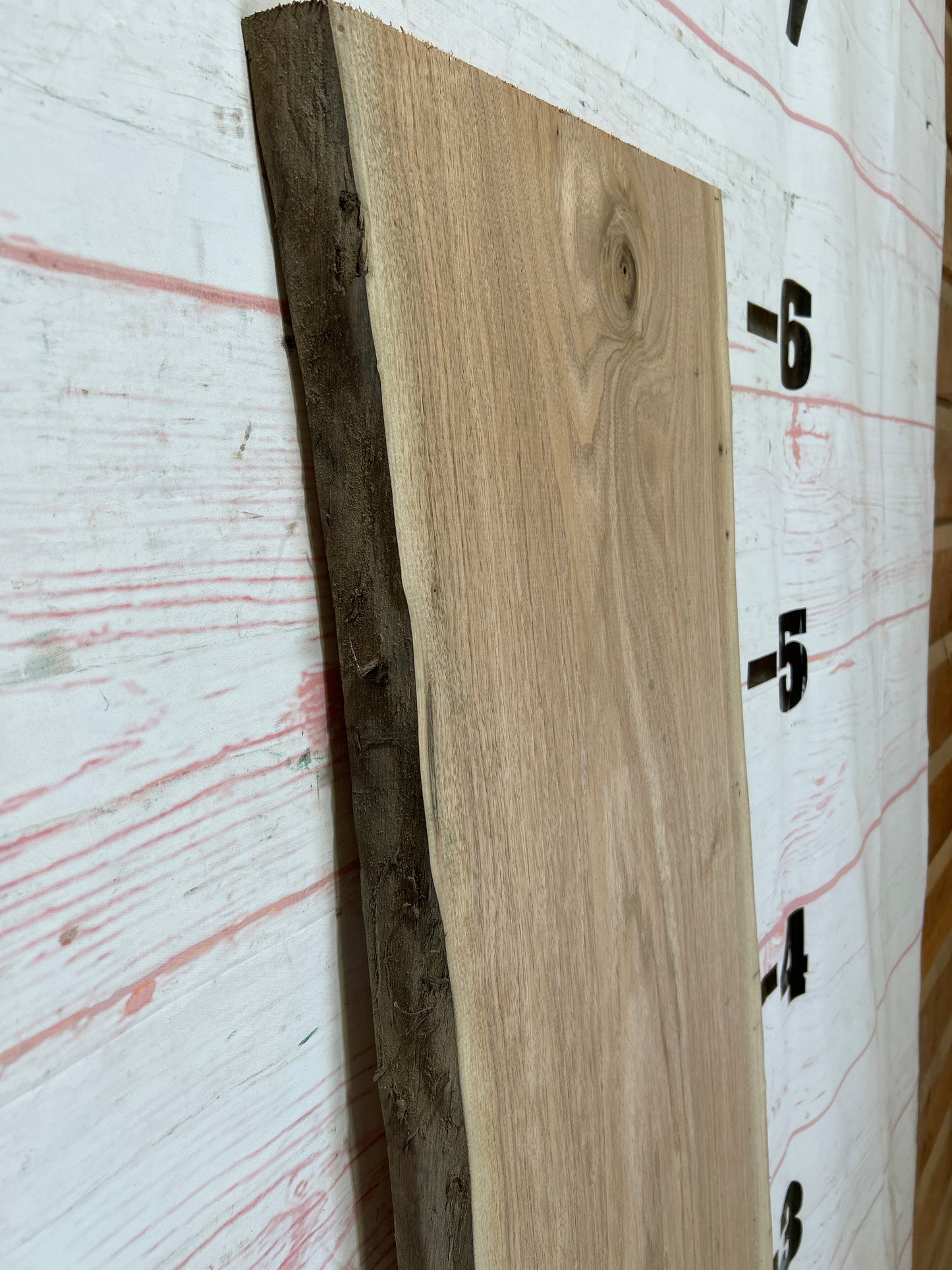 Live Edge Butternut Sku#25930C-13