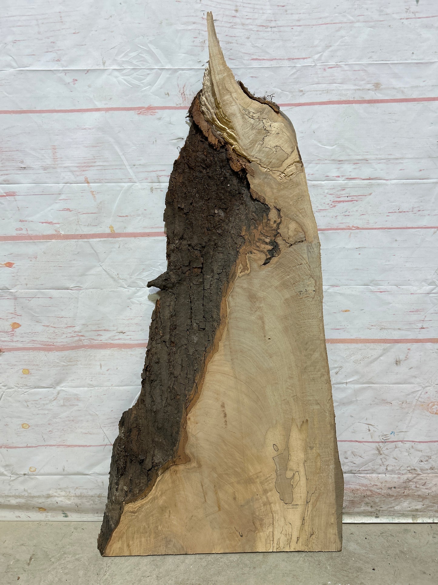 Live Edge Maple Sku#26308M-9