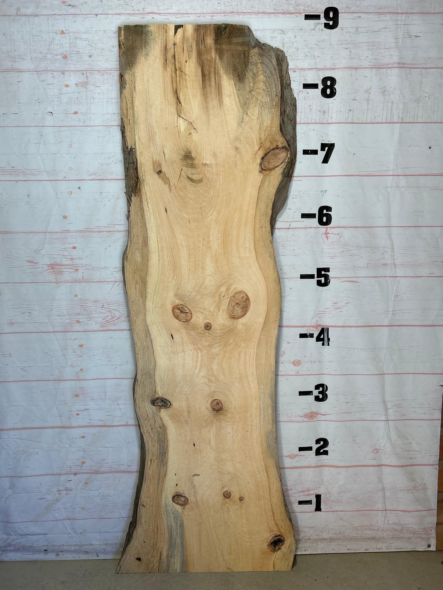 Live Edge Pine Sku#26532-59