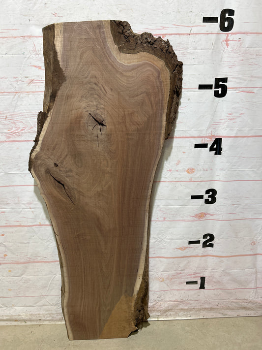 Live Edge Walnut Sku#27177A-24