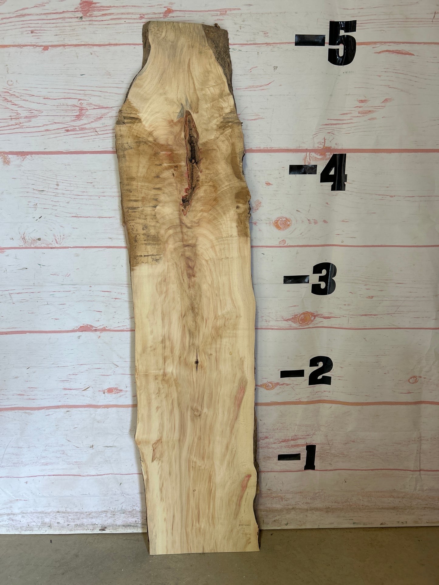 Live Edge Box Elder Sku#25052E-8
