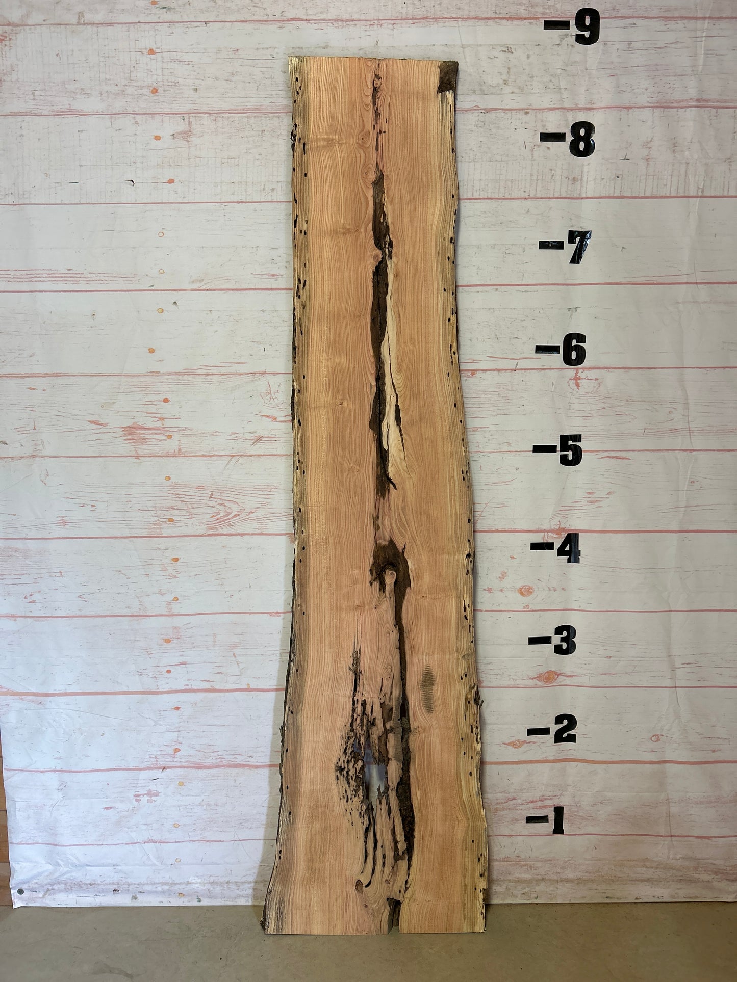 Live Edge Honey Locust Sku#25163H-32