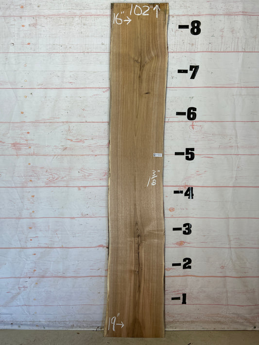 Live Edge Butternut Sku#26328C-19