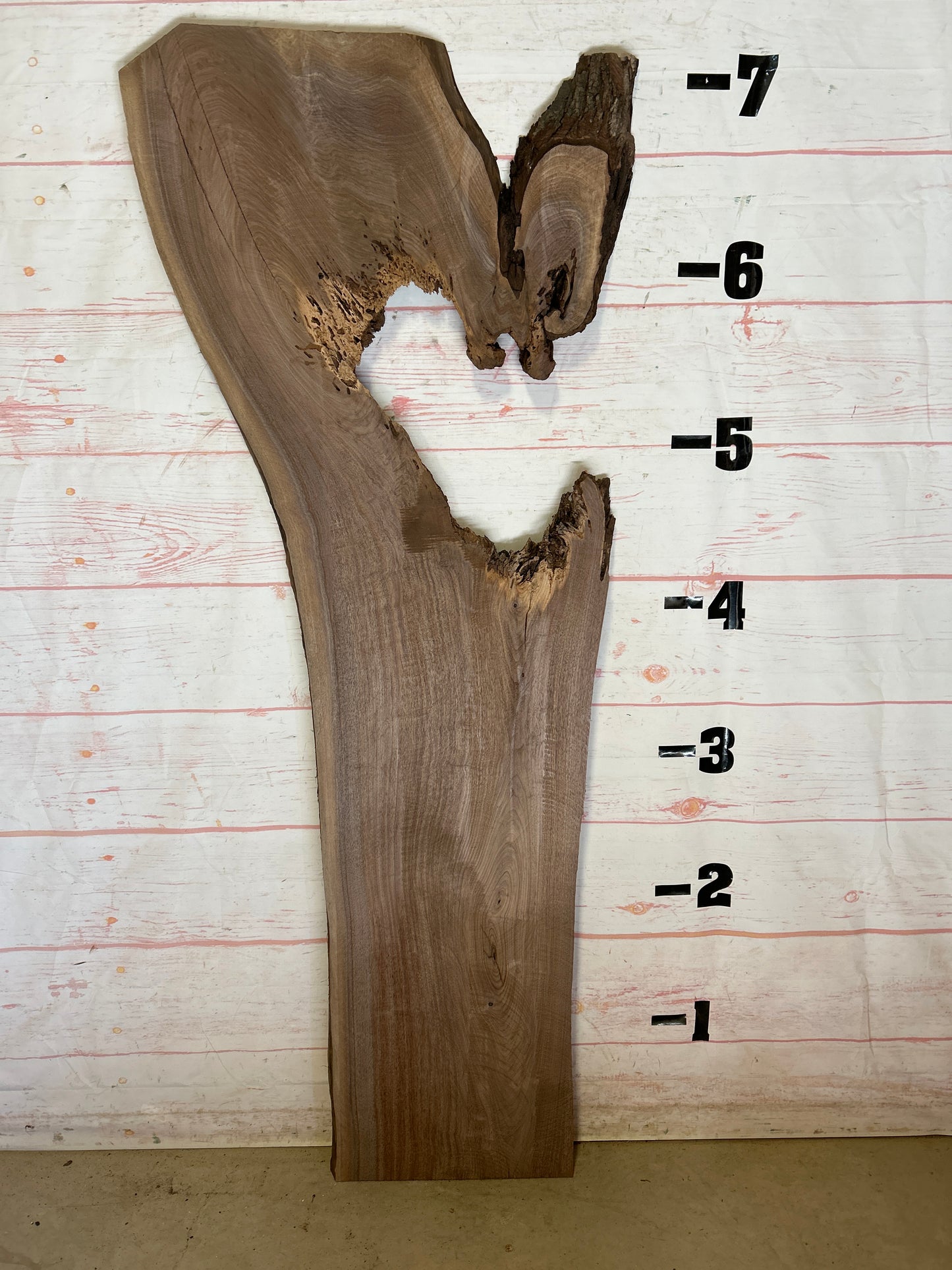 Live Edge Walnut Sku#24957-31