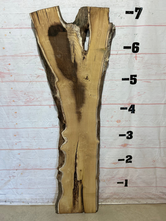 Live Edge Mulberry Sku#27107-29