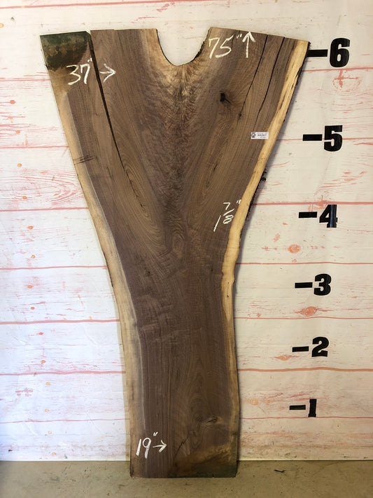 Live Edge Walnut Sku# 22558SP1-29