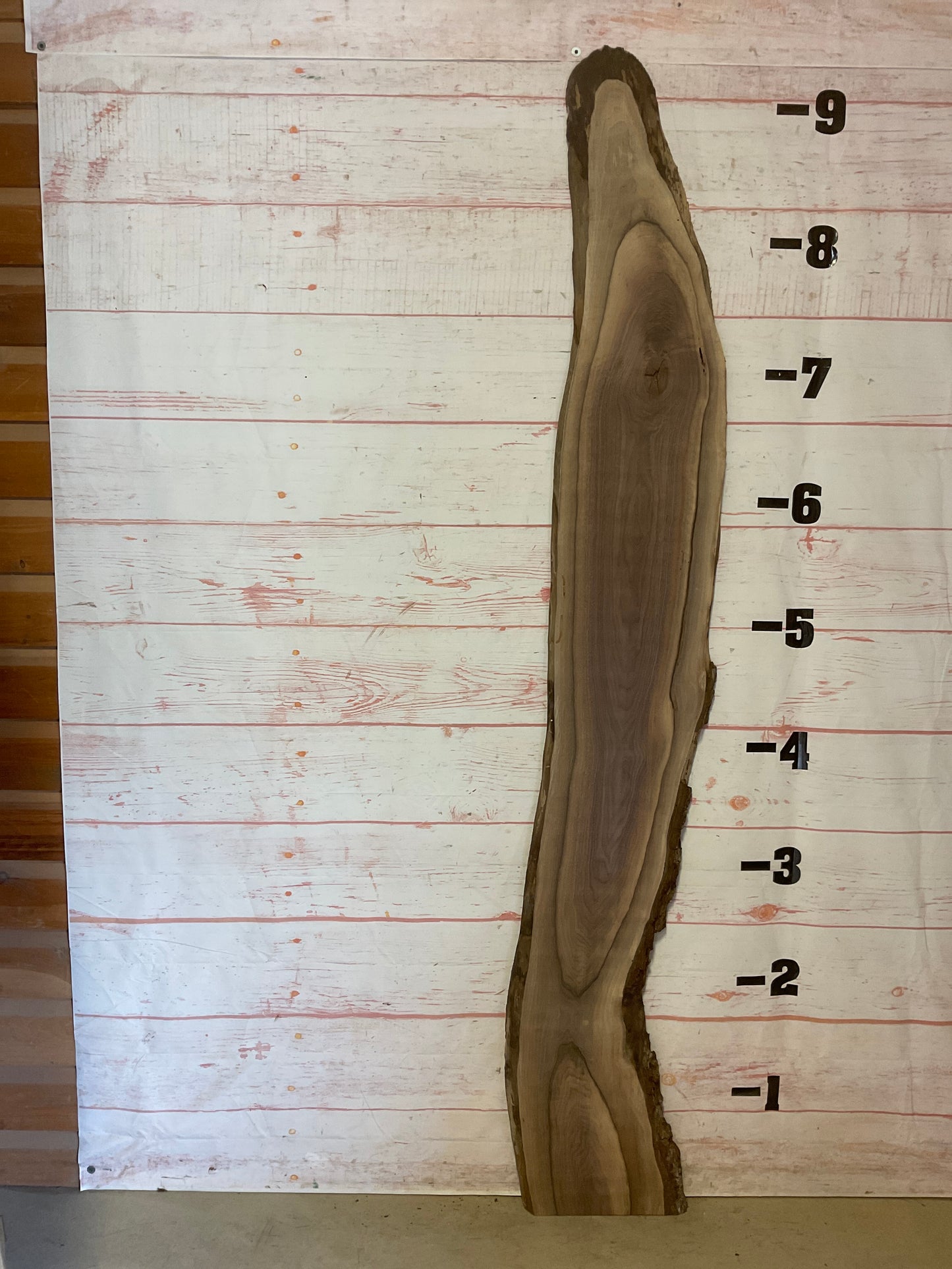 Live Edge Walnut Sku#20182M-14