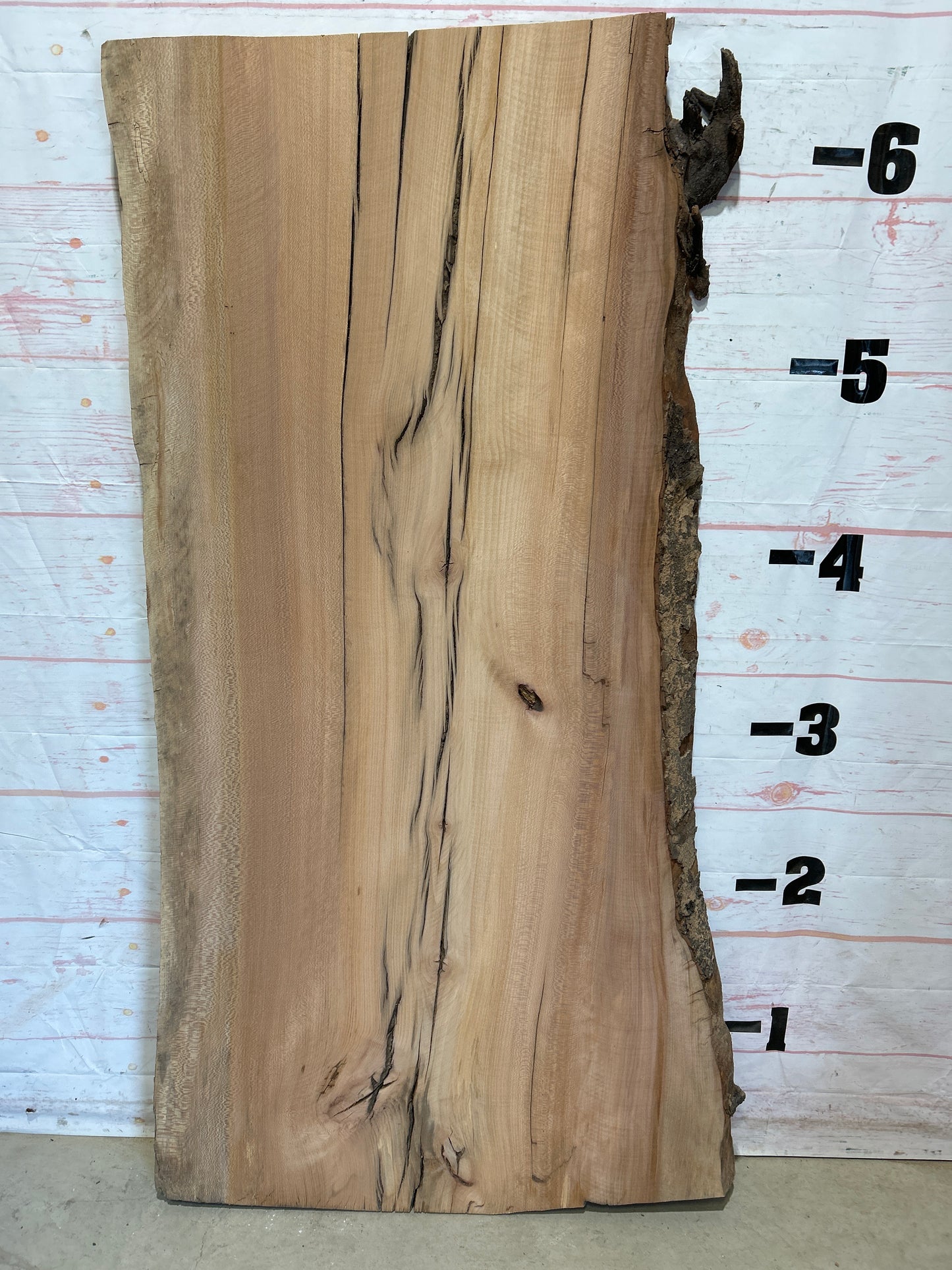 Live Edge Sycamore Sku#26546-52