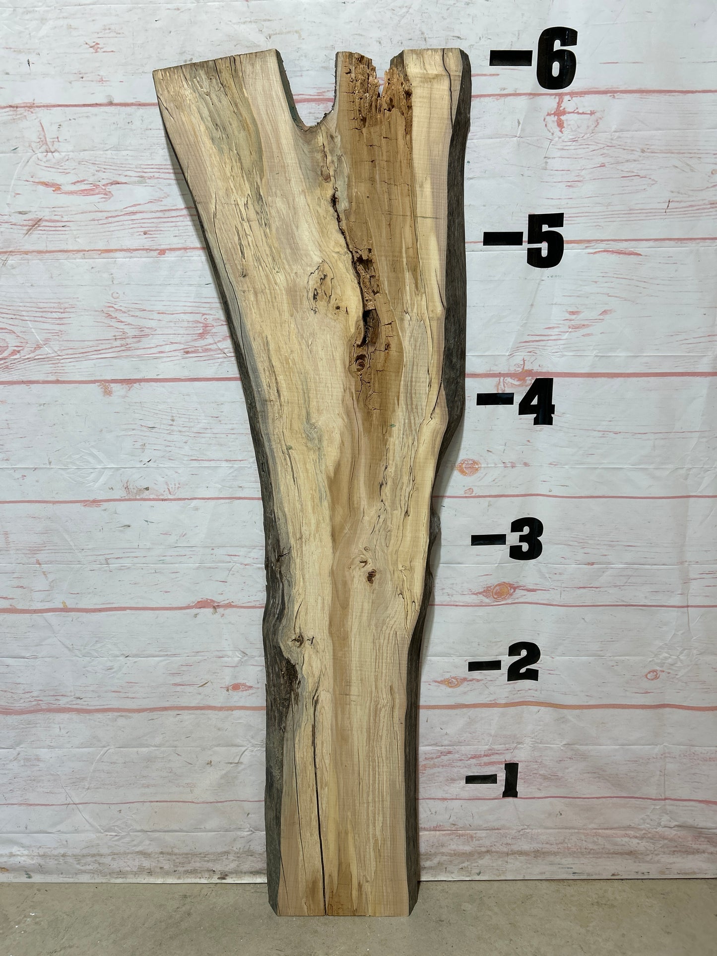 Live Edge Spalted Maple Sku#25277B-18